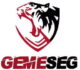 Grupo GEMESEG